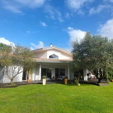 Agreable Maison Sur Le Bassin D'Arcachon Andernos-les-Bains Εξωτερικό φωτογραφία