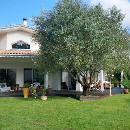 Agreable Maison Sur Le Bassin D'Arcachon Andernos-les-Bains Εξωτερικό φωτογραφία