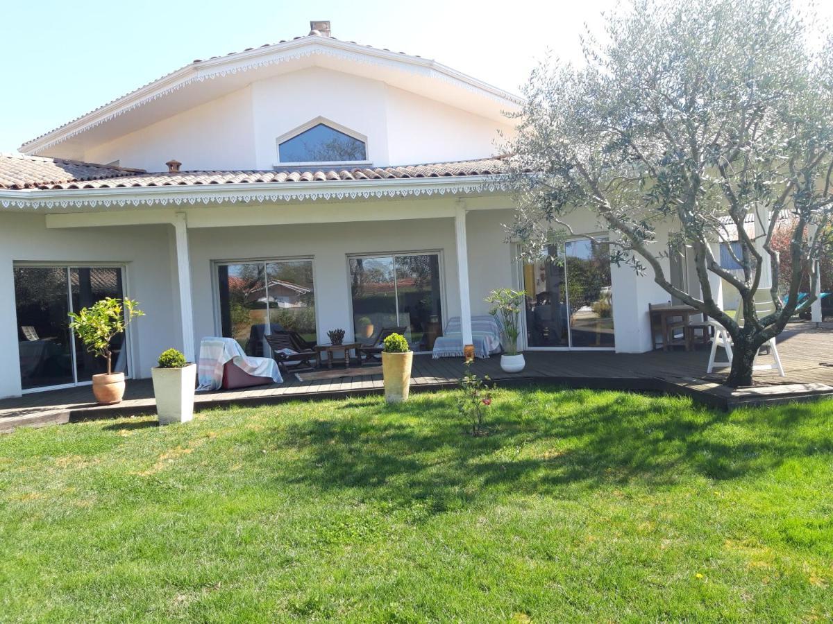Agreable Maison Sur Le Bassin D'Arcachon Andernos-les-Bains Εξωτερικό φωτογραφία