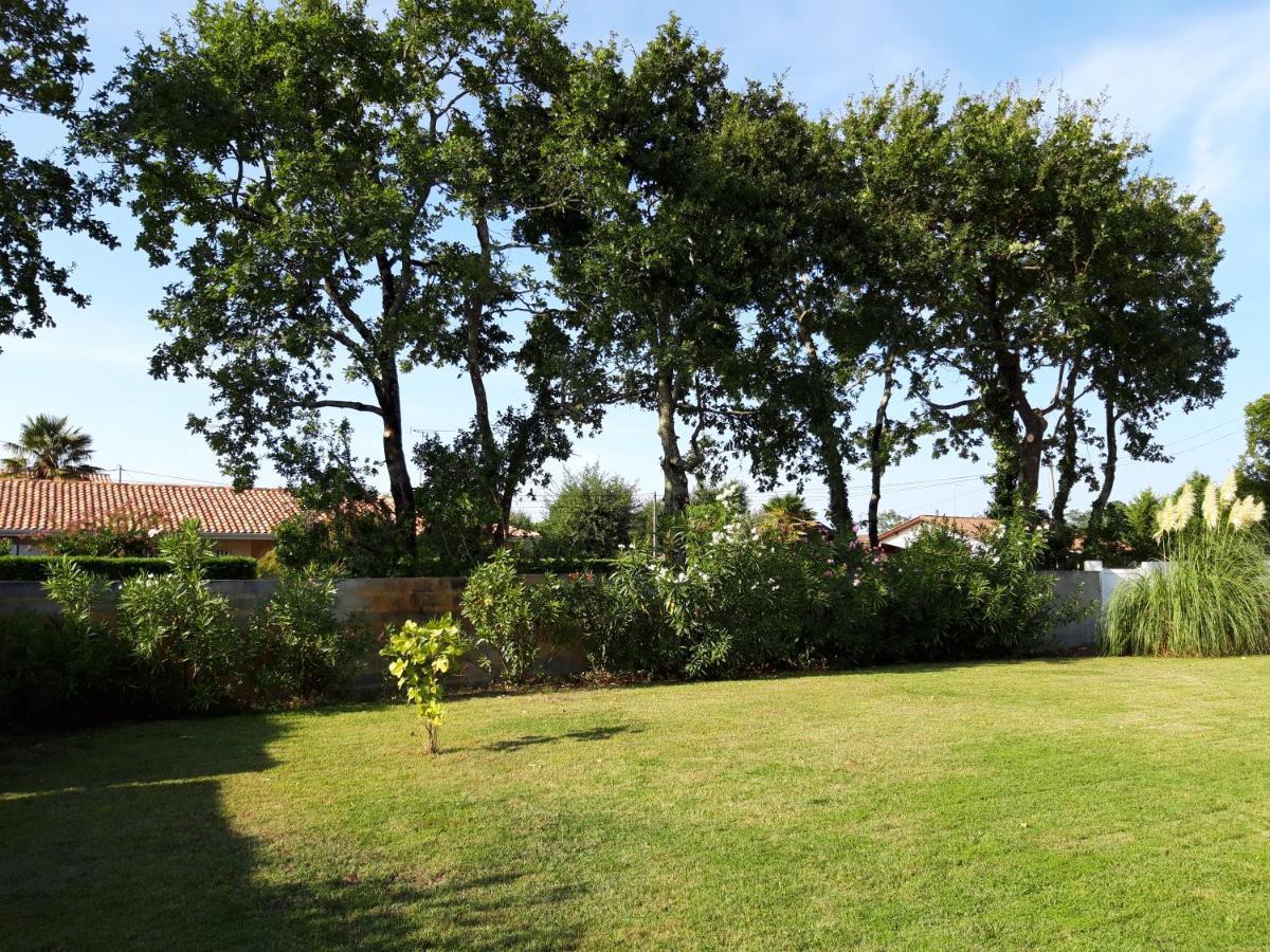 Agreable Maison Sur Le Bassin D'Arcachon Andernos-les-Bains Εξωτερικό φωτογραφία